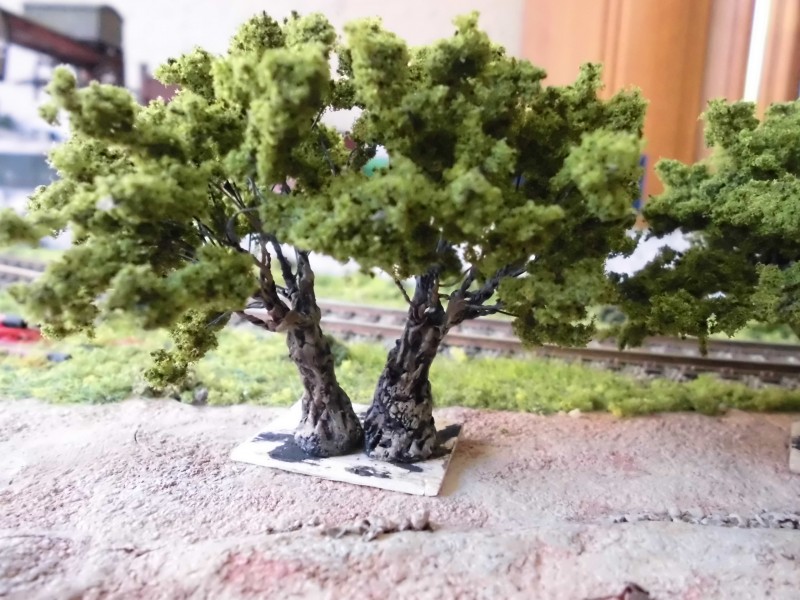 olivos 007.jpg