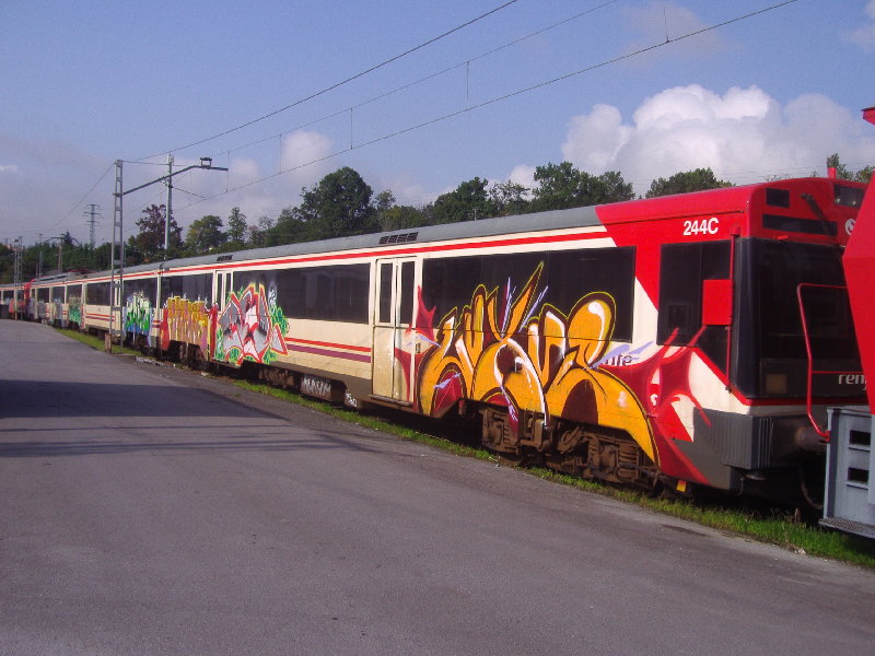 P9265684.JPG