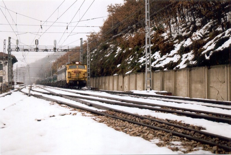 f604.jpg