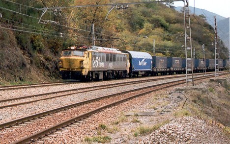 f6025.jpg