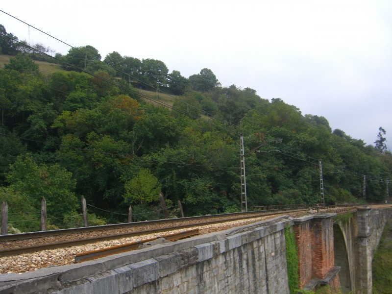 CIMG8303.JPG
