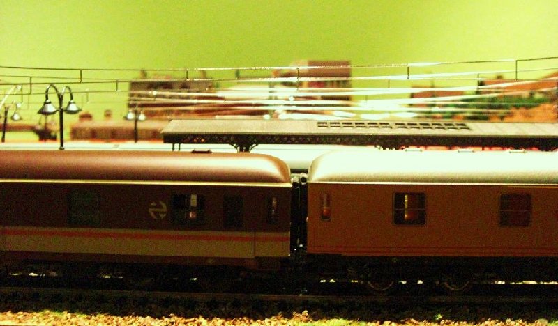CIMG7054.JPG