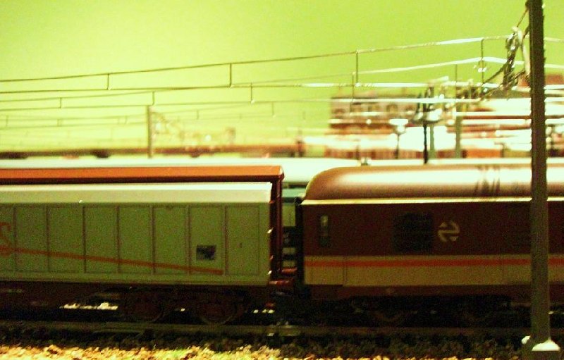 CIMG7055.JPG