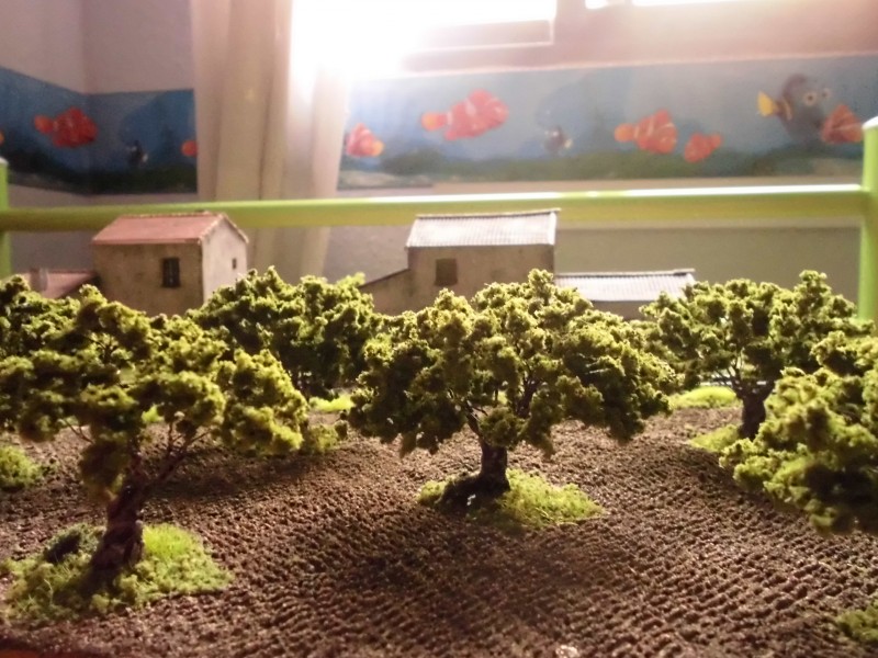 olivos 017.jpg