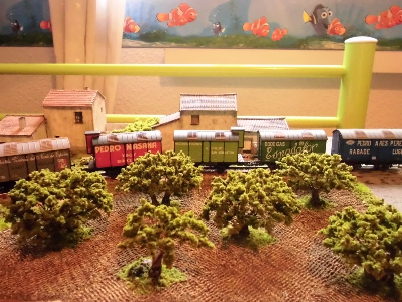 olivos 021.jpg