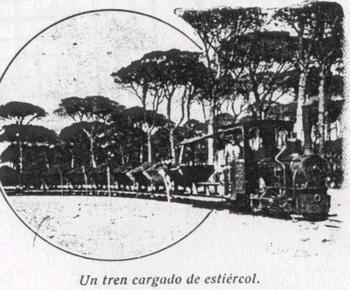 algaida05g.jpg