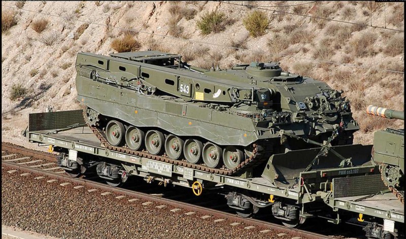 BUFALO 5 P.jpg