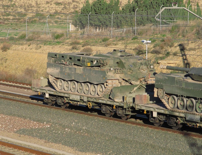 BUFALO COLA TREN P.jpg
