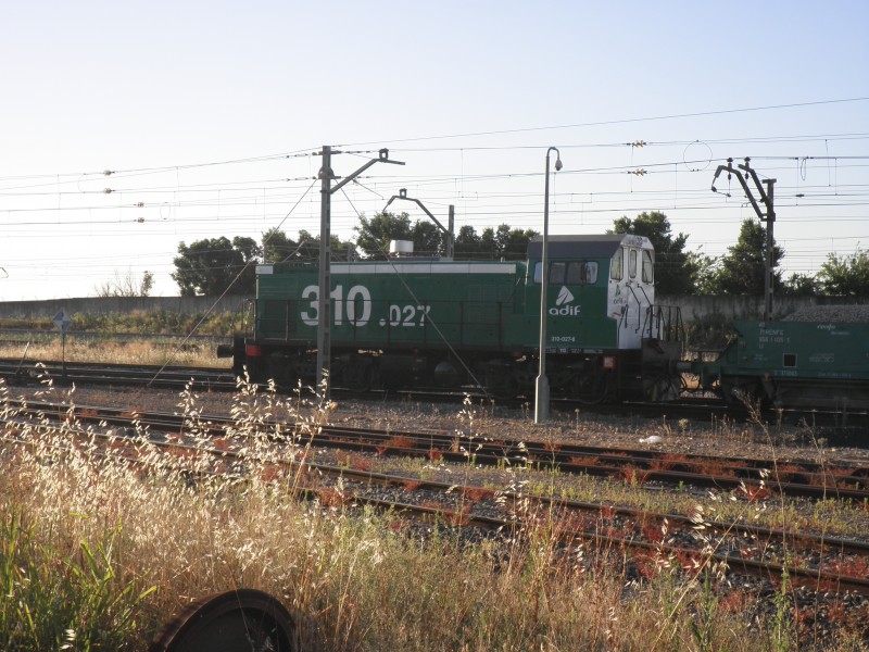 P5312205.JPG