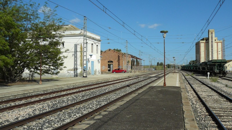 P1050371.JPG