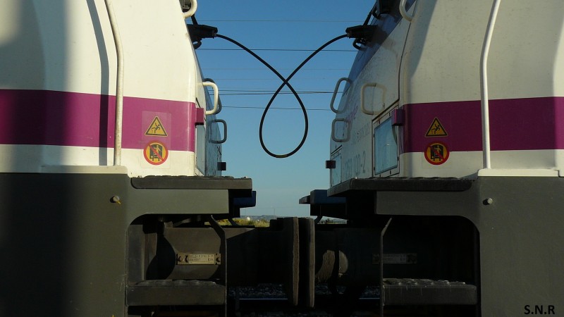 P1050417.JPG