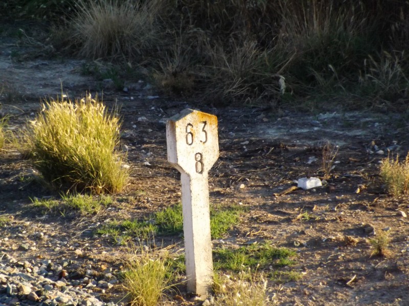 DSCF1503.JPG