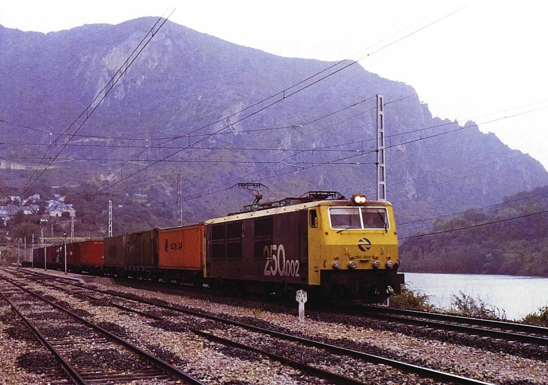 250.002 Covas.jpg