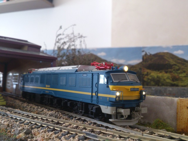 DSC_0231.jpg