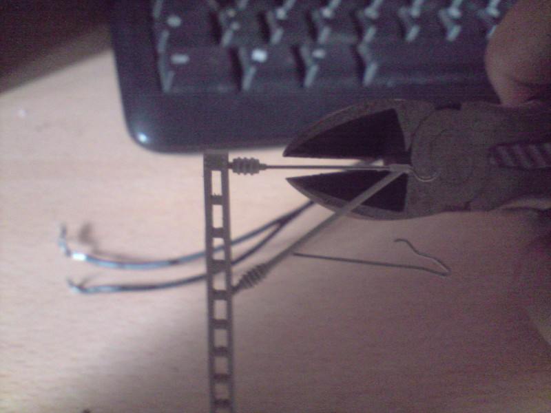 P011009_17.34.JPG