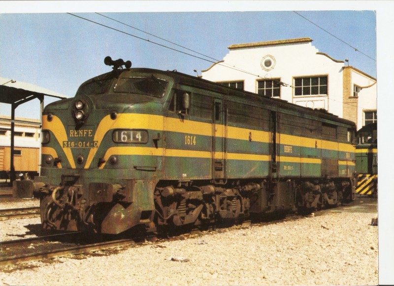 alco en sevilla.jpg