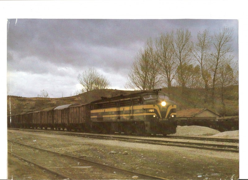alco1806.jpg