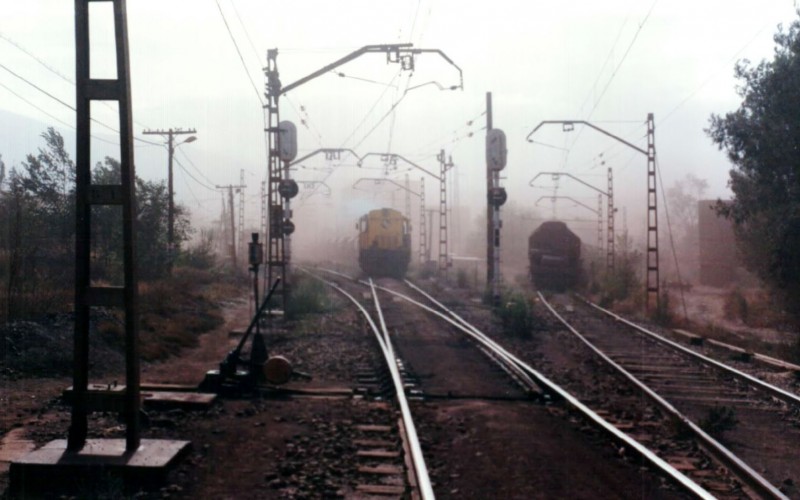 81676077.jpg