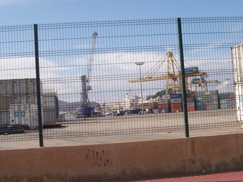 100_4013.JPG