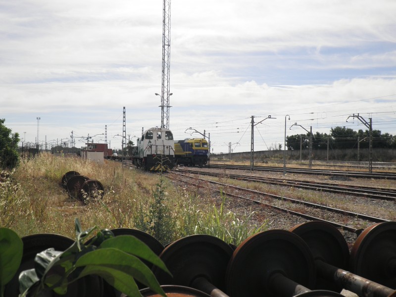 P6172139.JPG