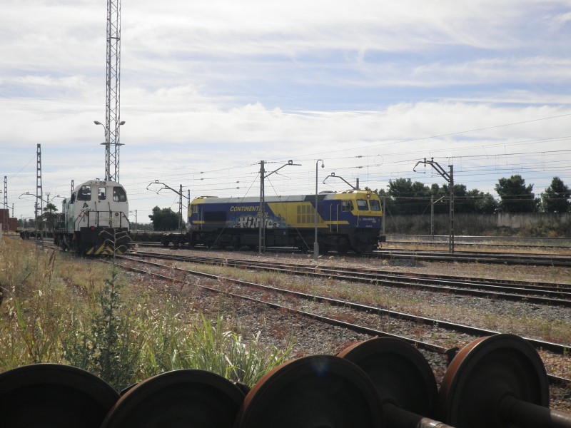 P6172140.JPG