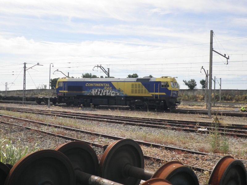 P6172141.JPG