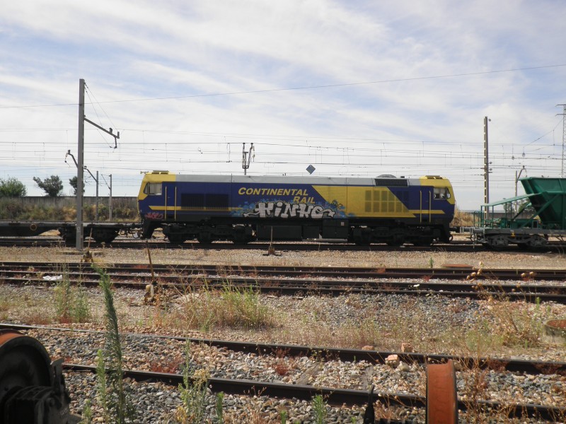 P6172142.JPG