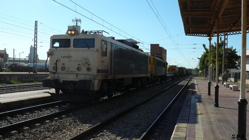 P1050717.JPG