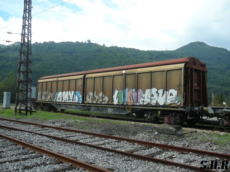 P1030055[1].JPG