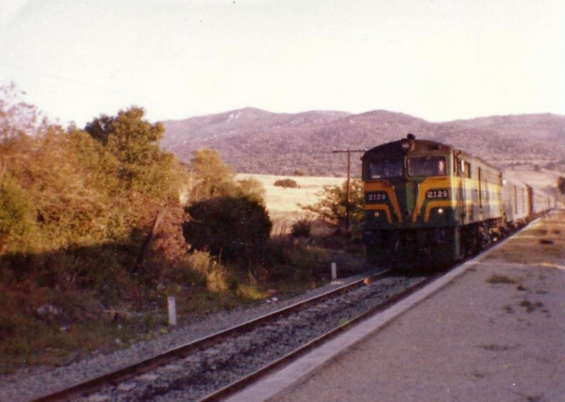 2129.jpg