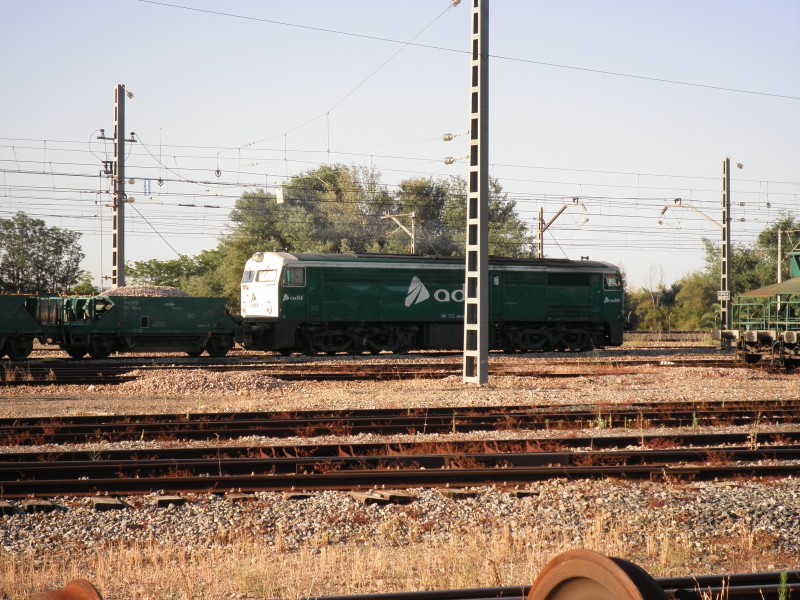P6242155.JPG