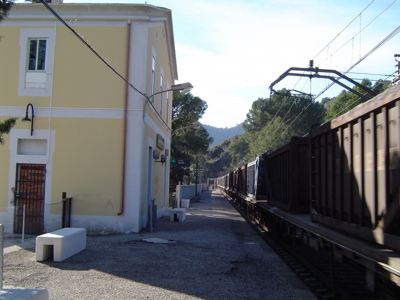 Potasero 2013.JPG