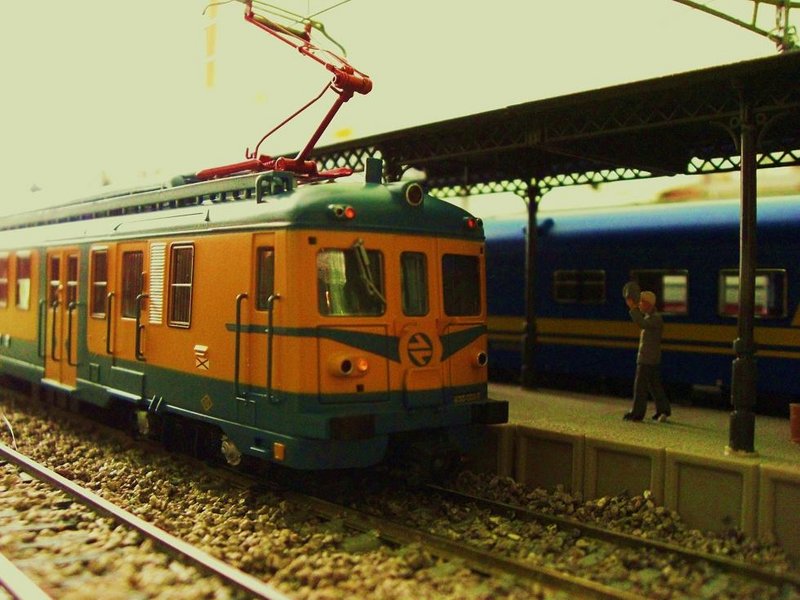 CIMG7099.JPG
