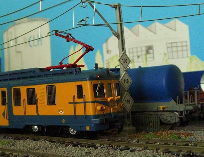 CIMG7101.JPG
