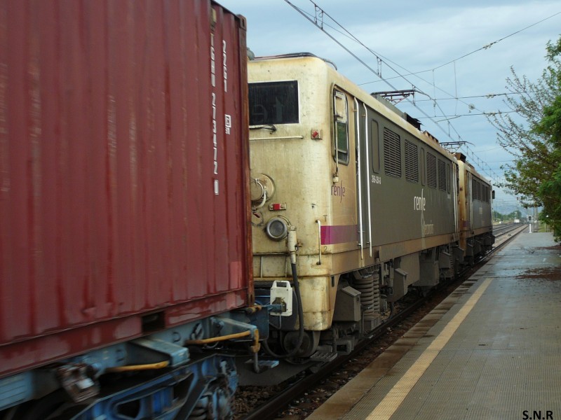 P1050537.JPG