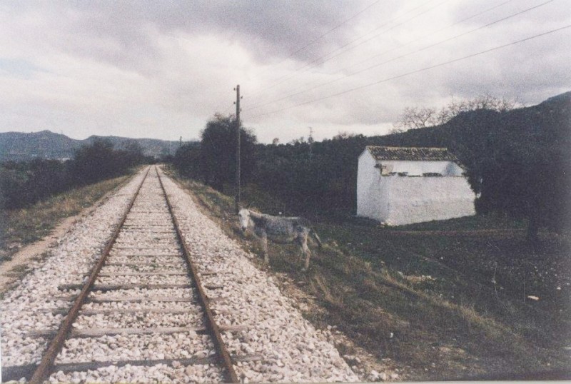 12300.JPG
