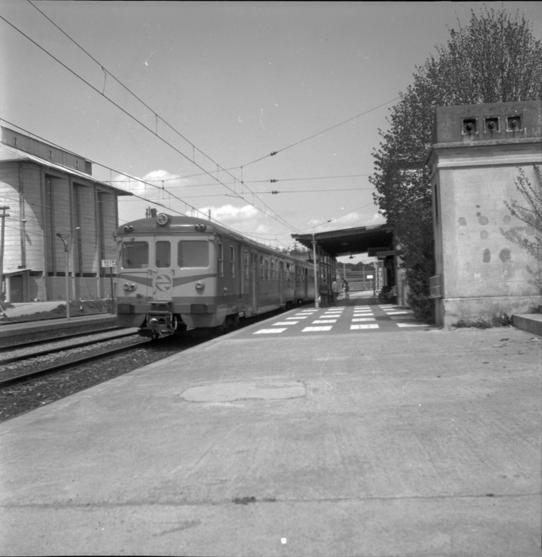 rf4329.jpg