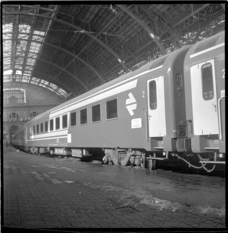 rf5896.jpg