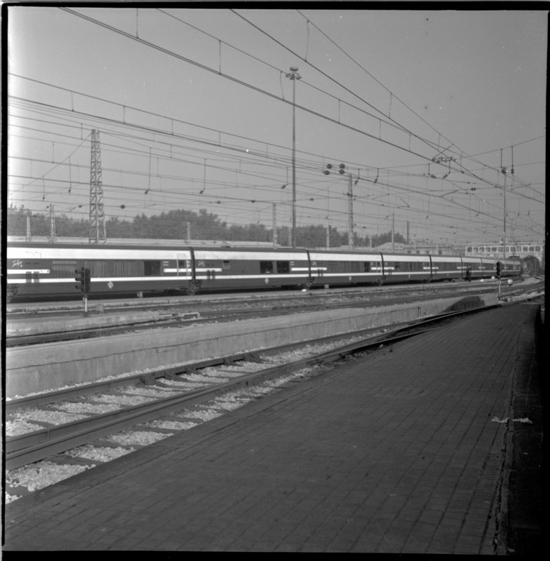 rf5897.jpg