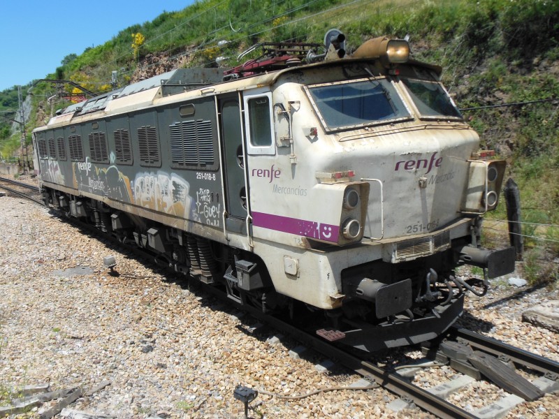 RSCN0735.JPG