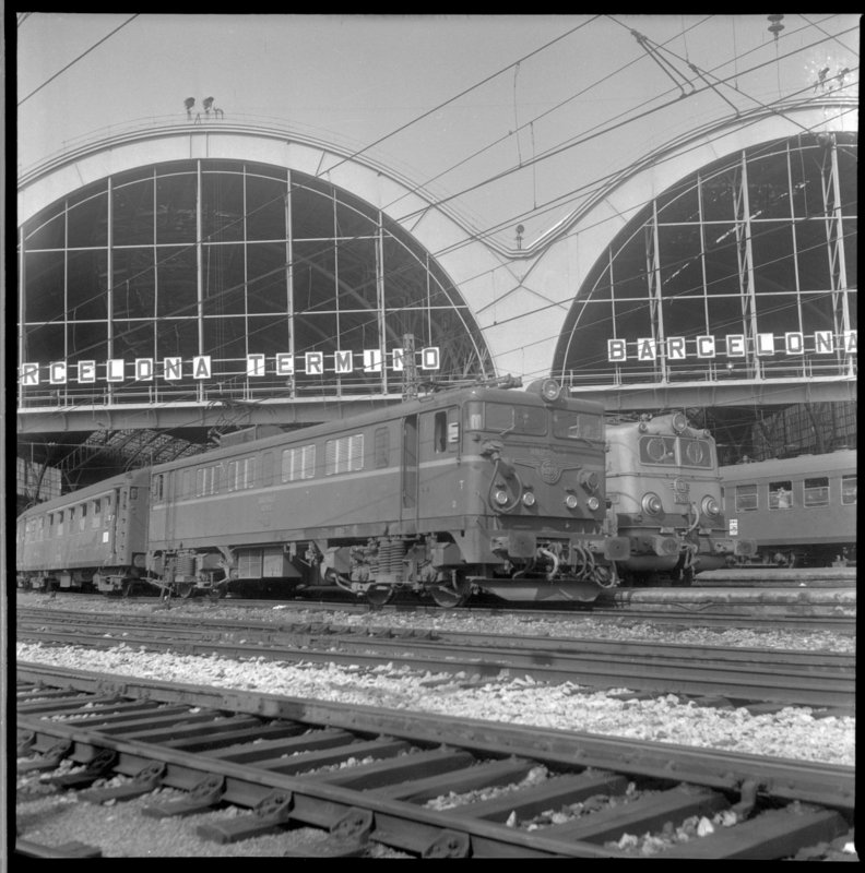 rf6230.jpg