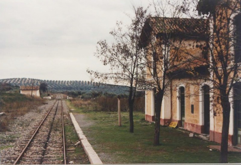 12314,jpg.jpg