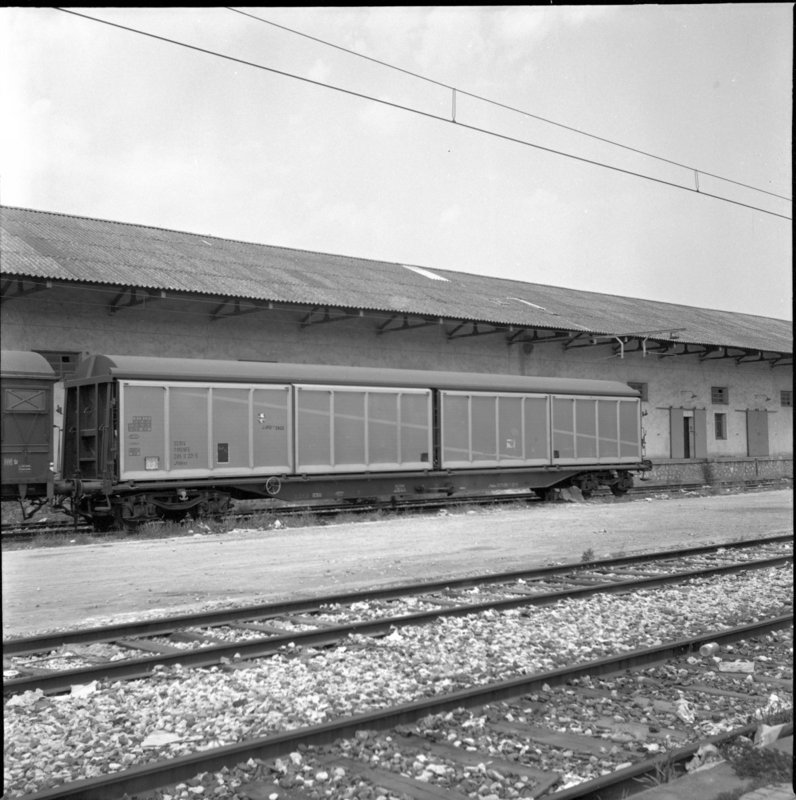 rf8524.jpg