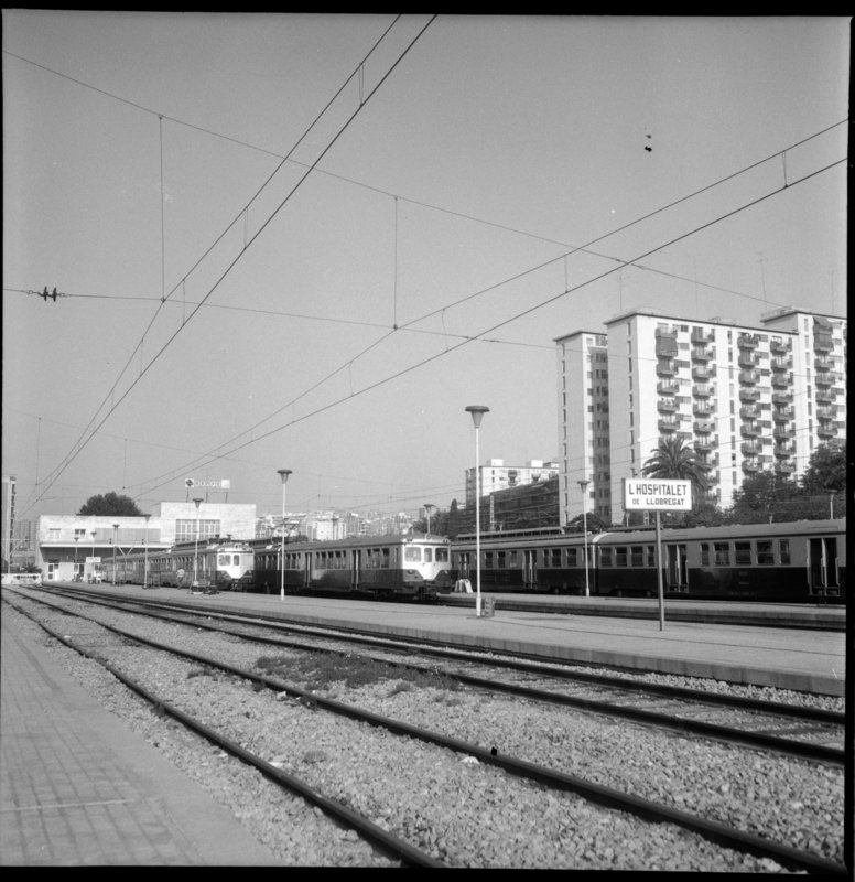 rf8678.jpg