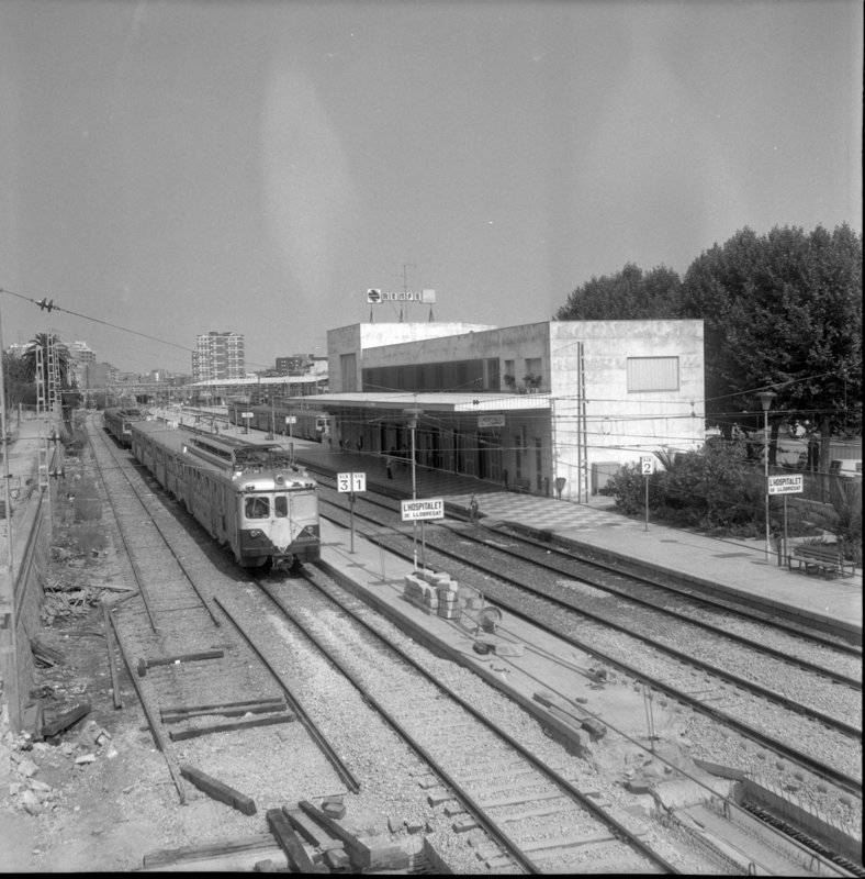 rf8679.jpg