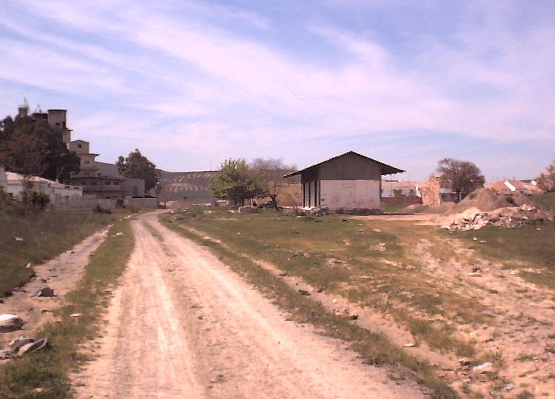 12328.jpg