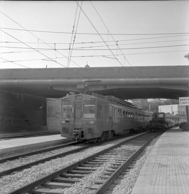 rf12087.jpg