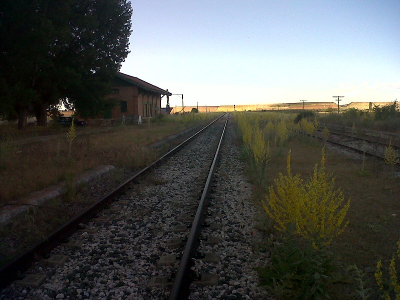 IMG00493-20130630-1850.jpg