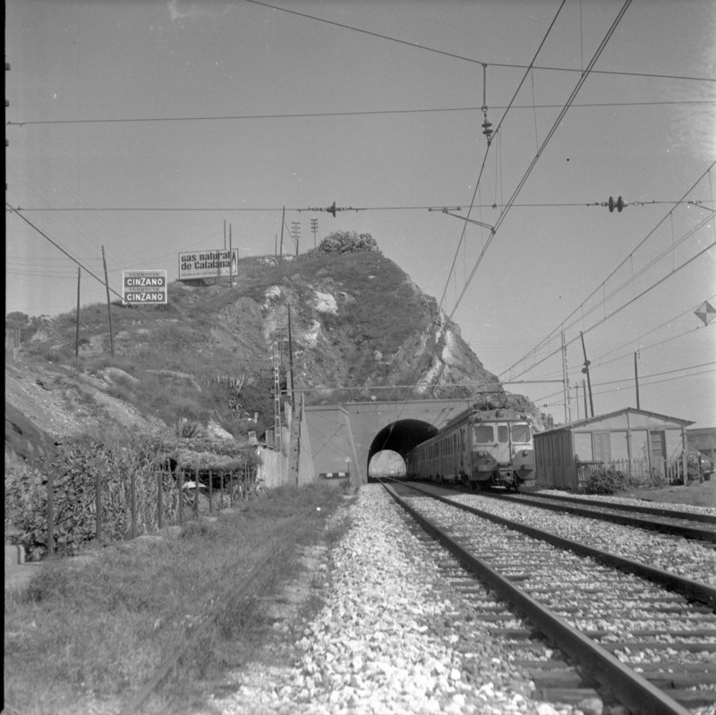 rf9963.jpg