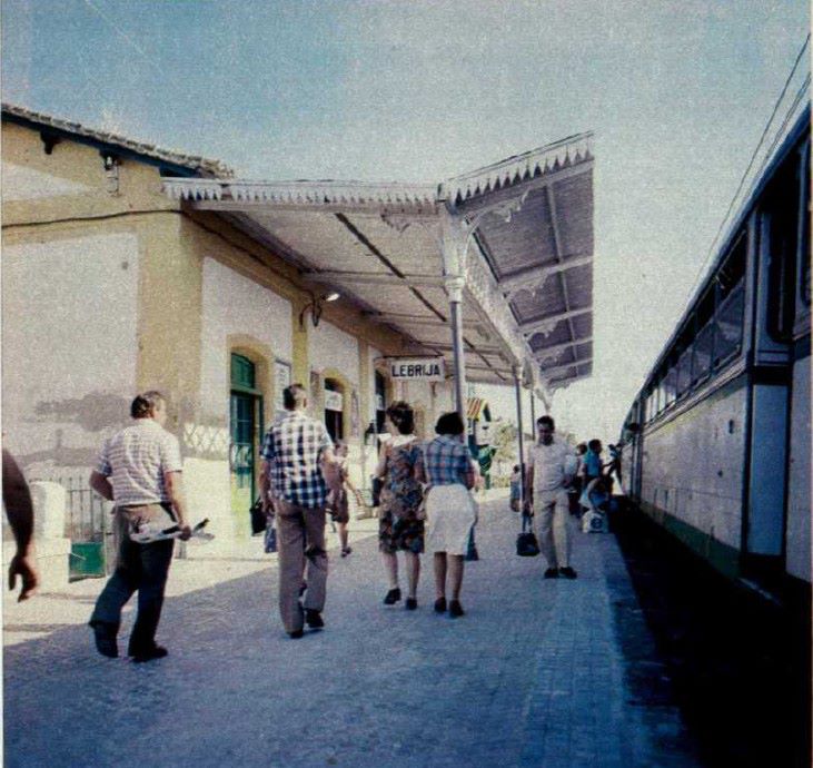 12350.jpg